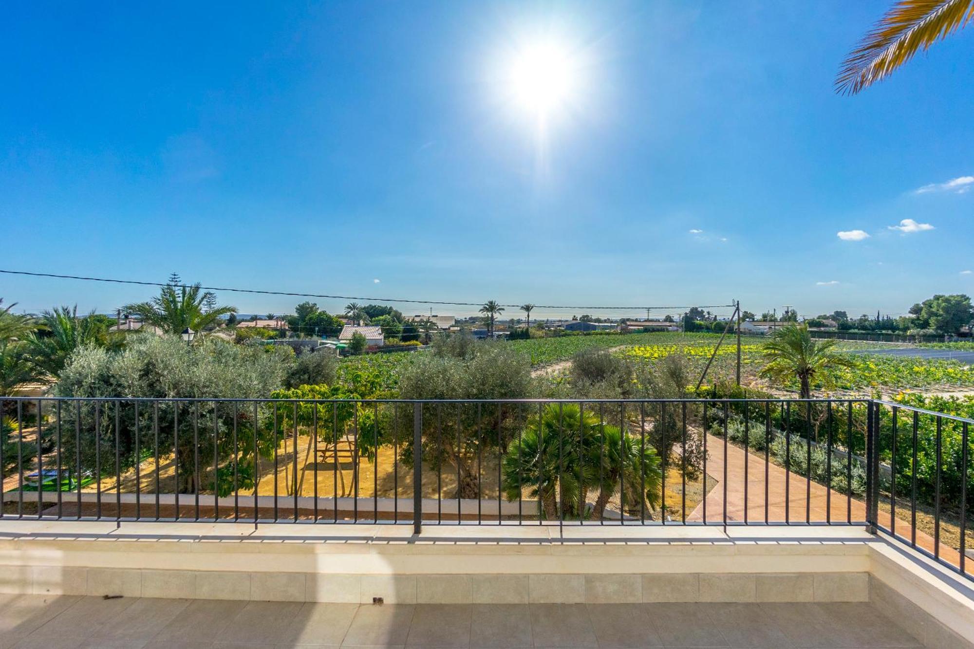 Finca Santa Barbara Elche Rom bilde